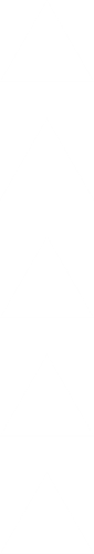 101